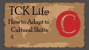 How-to-cultural-shift